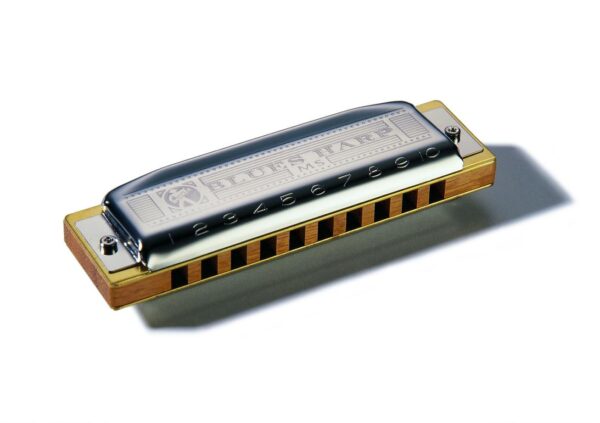 HOHNER BLUES HARP MS in F-2