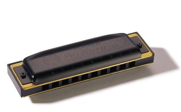 HOHNER PRO HARP MS in D-2