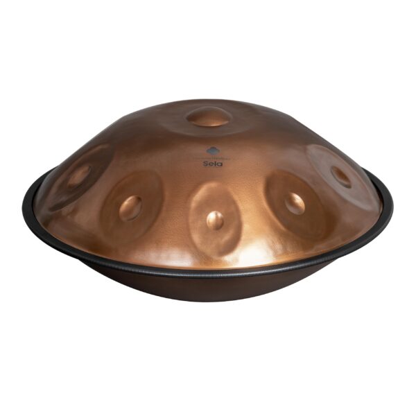 SELA SE321 Harmony Handpan Phoenix Steel D Amara 10-1