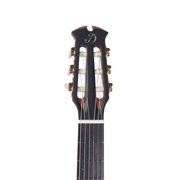 DOWINA Cabernet Crossover Hybrid Cutaway HC-E EAS-C-3