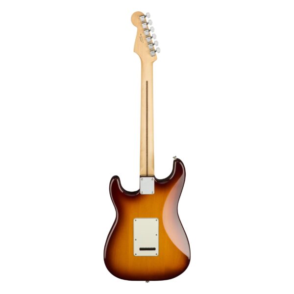 FENDER Player Series Stratocaster Plus Top Tobacco Sunburst-2