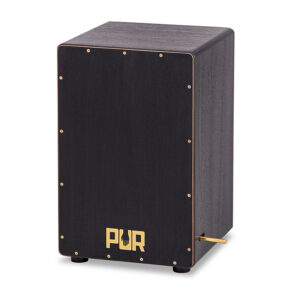 PUR VISION PRO Black & Gold