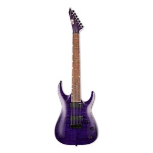 ESP LTD SH-207 STP BRIAN WELCH