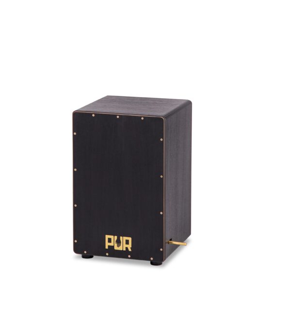 PUR VISION PRO Black & Gold-1