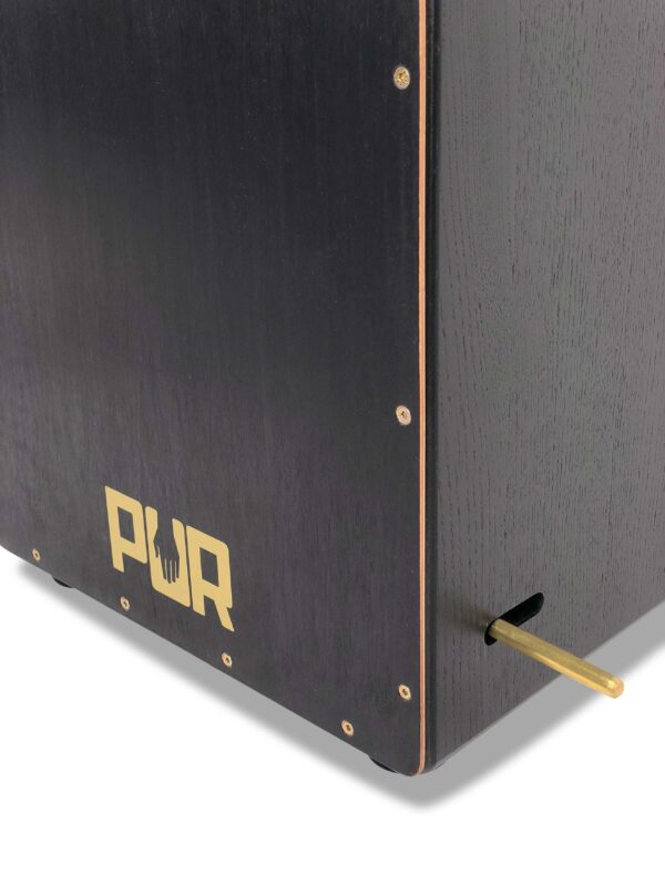 PUR VISION PRO Black & Gold-3